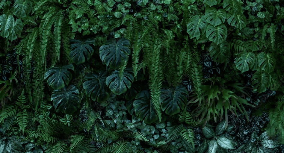 Lush green jungle background